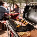 Weber Traveler Portable Folding Gas BBQ - Image 7